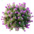 AV Colorful spring bushes Rhododendron Shrub Arboreum and Ixora Jasmine Gardens Chinese - Thumbnail 4
