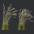 ntal grass set combines two iconic and highly architectural species known for their graceful movement and seasonal texture. - Thumbnail 6