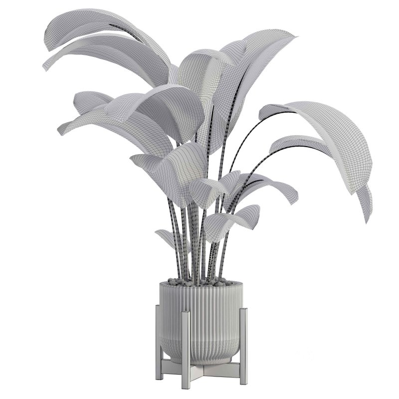 Indoor Plant 02 Image 4