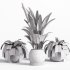 Indoor plant set with plant tree concrete dirt vase 02 - Thumbnail 4