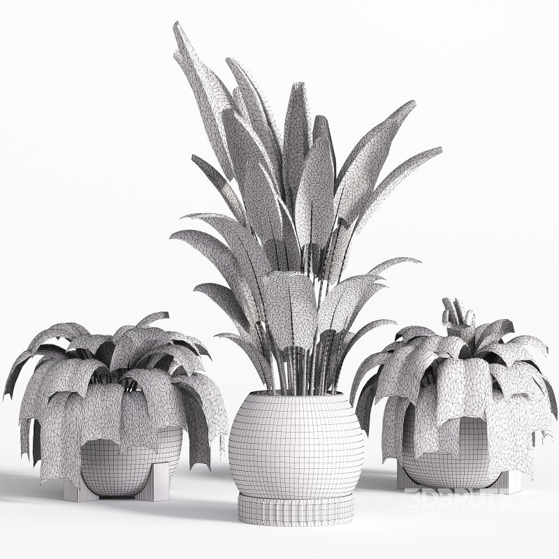 Indoor plant set with plant tree concrete dirt vase 02 Image 4