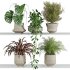 plants set on shelf - Thumbnail 1