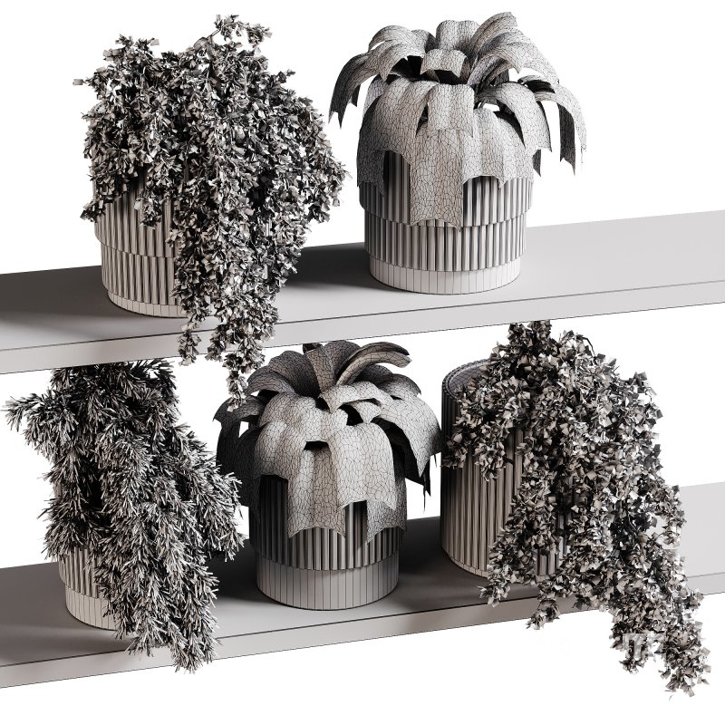 indoor plants 98- Hanging indoor plant Image 5