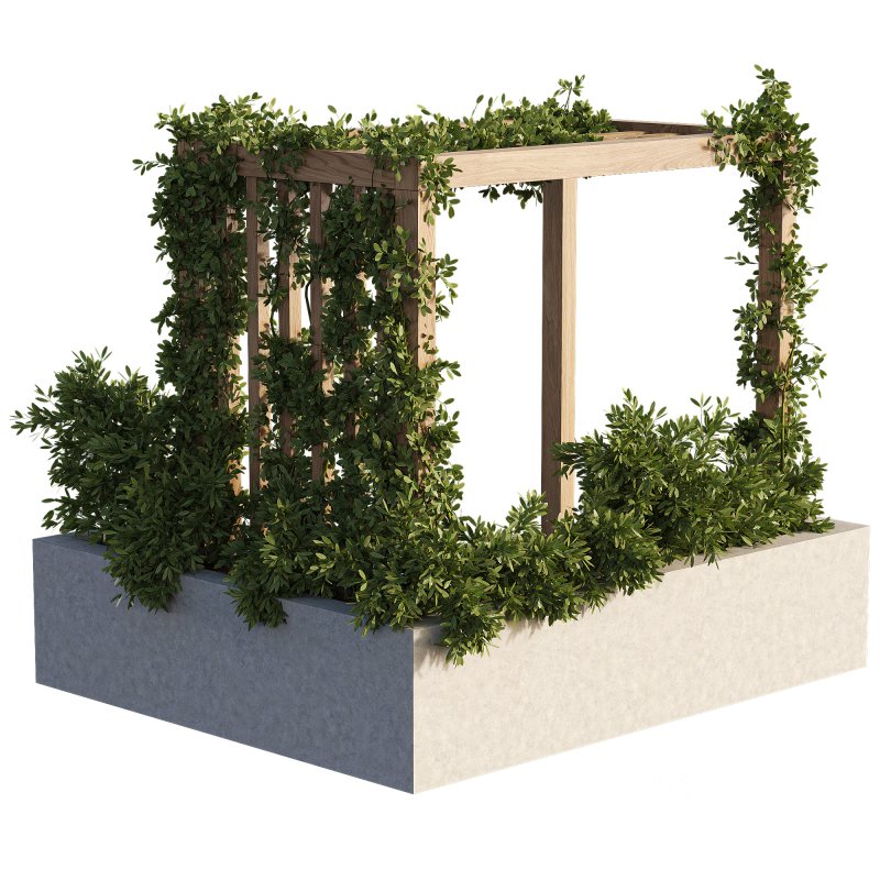 OutDoor plants – 3 Pergola plants set Image 1