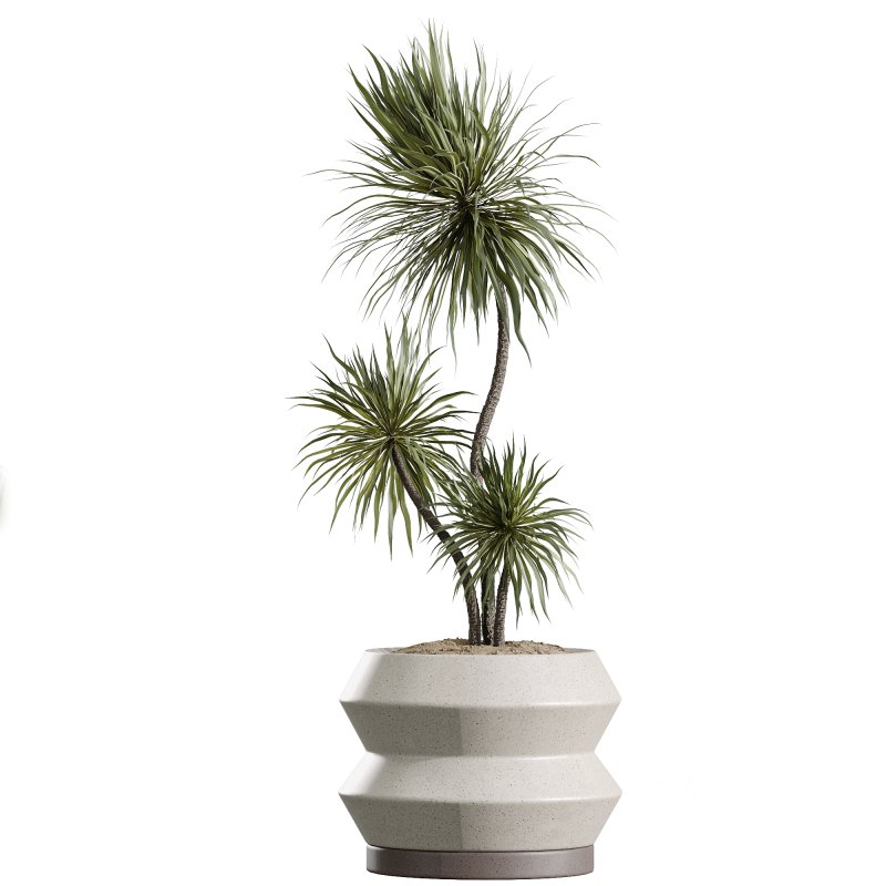 ntal value and botanical origin. Perfect for luxury interiors, modern lobbies, or minimalist environments, this set balances lush volume with sharp sculptural lines. Image 4