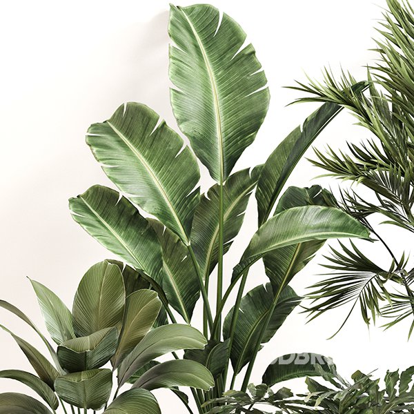 Indoor Plant Set 0156 Image 2