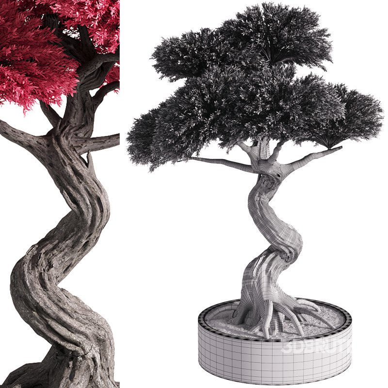 indoor plants – 50 plant in pot Image 3