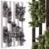 Vertical Garden Partiton plants 03 - Thumbnail 9