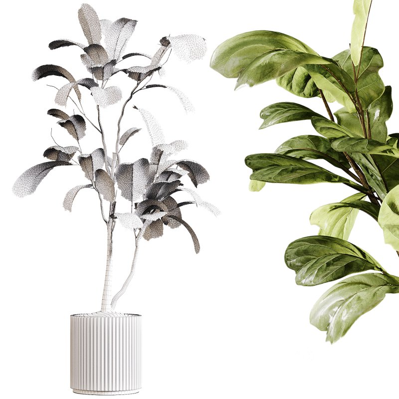 Indoor plants 89 – Plant in pot Image 1