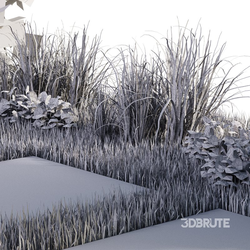 OutDoor plants – 4 Pergola plants set Image 4