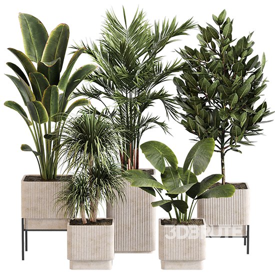 Indoor Plant Set 0157 Image 1