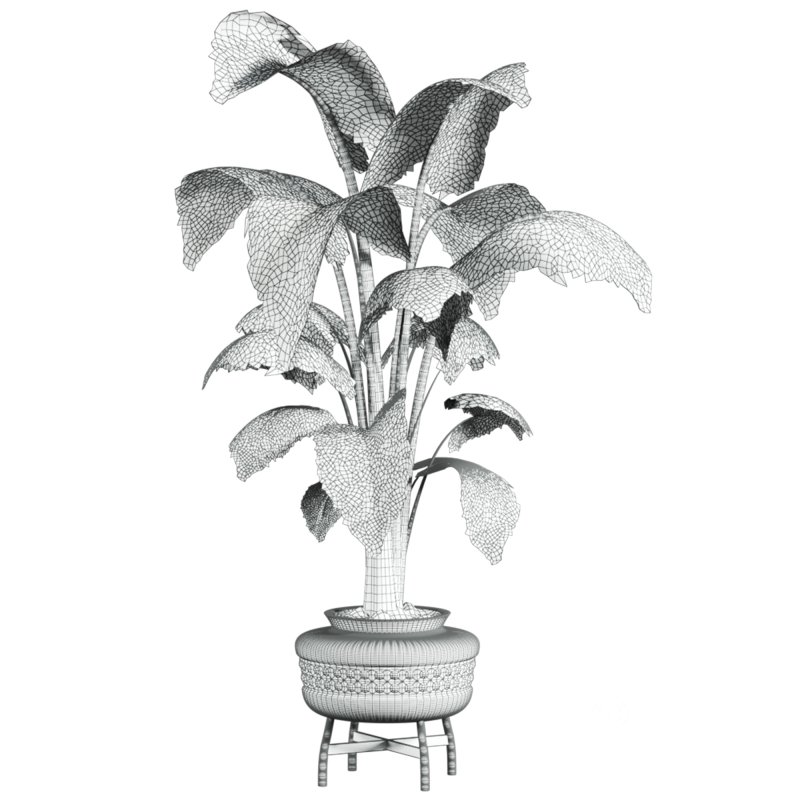 potted plant Image 3