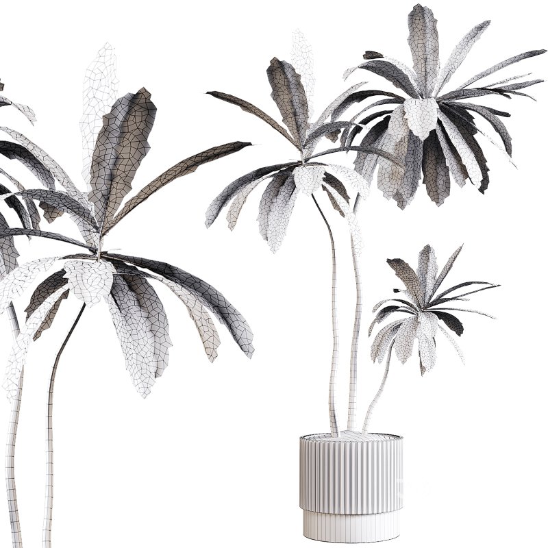 Indoor plants 77 – Plant in pot Image 1