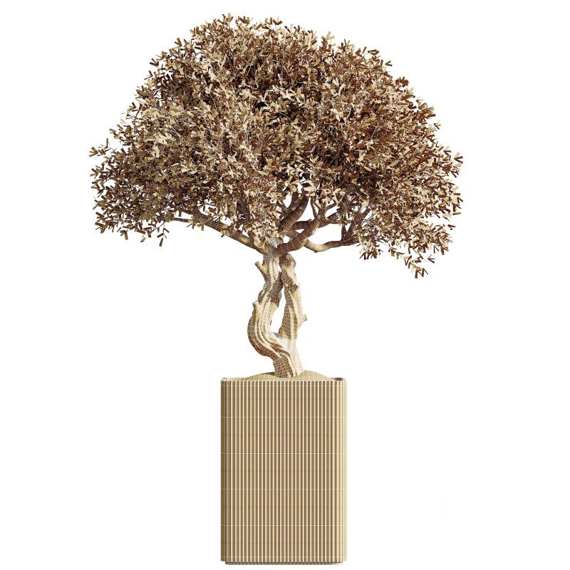 AV Indoor Plants Set 264 Image 5