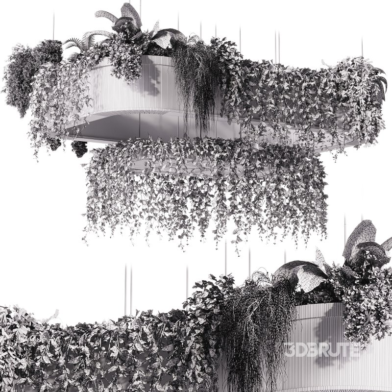 indoor plants – 62 Hanging indoor plant Image 1