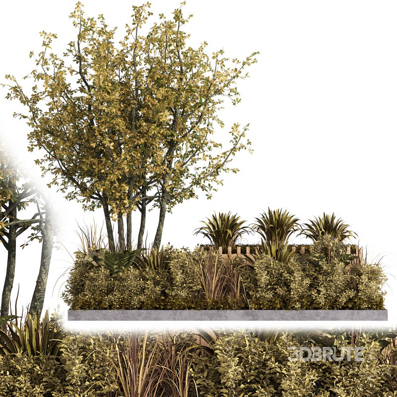 Outdoor Garden plants set in a box Image 2