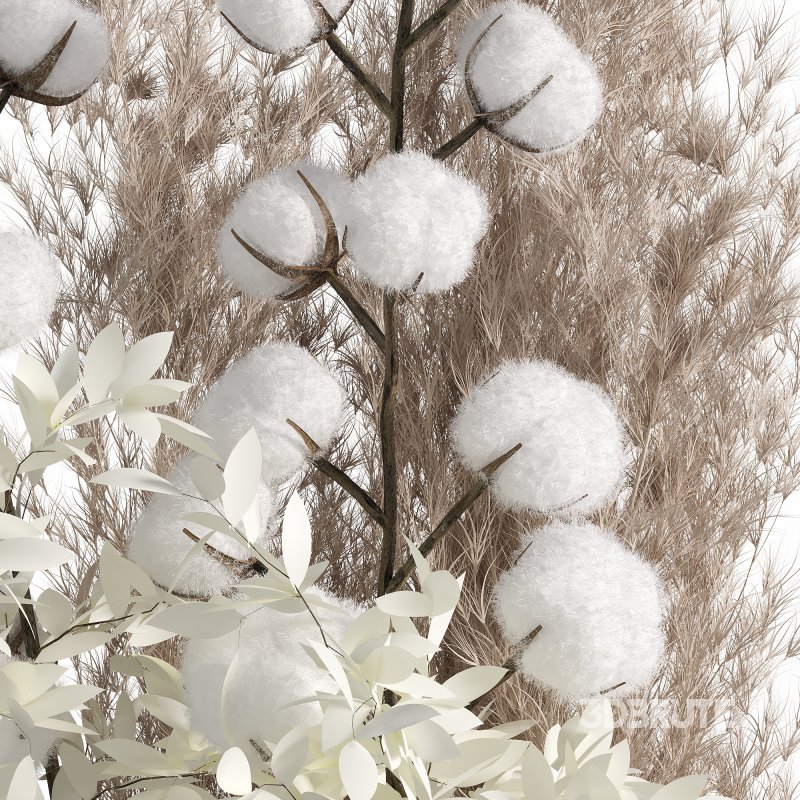 Cotton and pampas bouquet Image 1