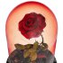 Rose in the movie Beauty and the Beast - Thumbnail 7