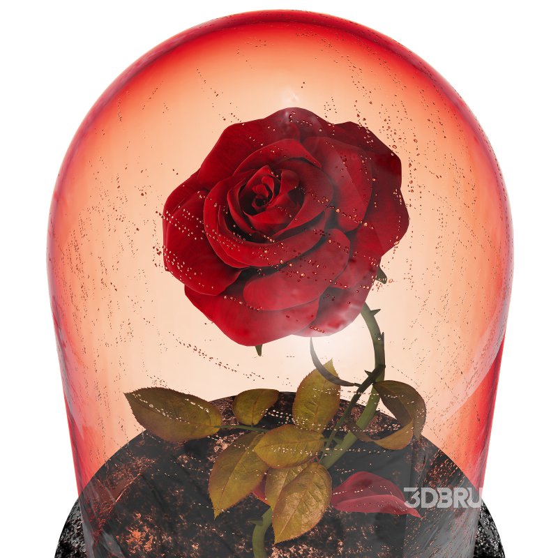 Rose in the movie Beauty and the Beast Image 7