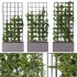 Vertical Garden Partiton plants 05 - Thumbnail 4