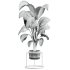 potted plant - Thumbnail 4