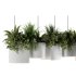 Reception Desk With Hanging Plants-set 15 - Thumbnail 4