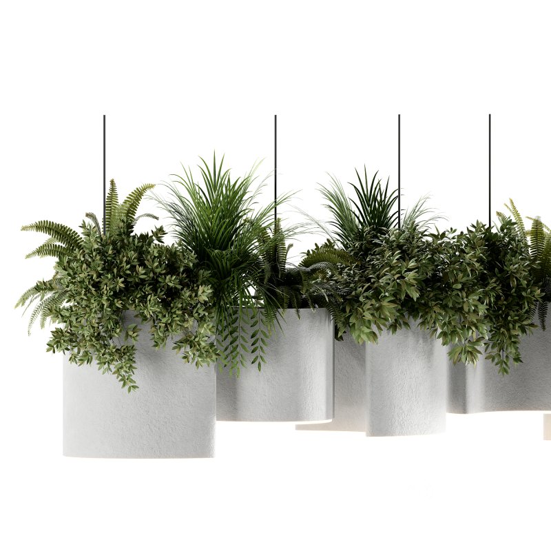 Reception Desk With Hanging Plants-set 15 Image 4