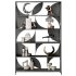 Shelves Decorative – Rack Set 24 - Thumbnail 1