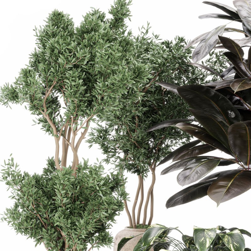 Indoor_plant_set_with_plant_tree_concrete_dirt_vase Image 2