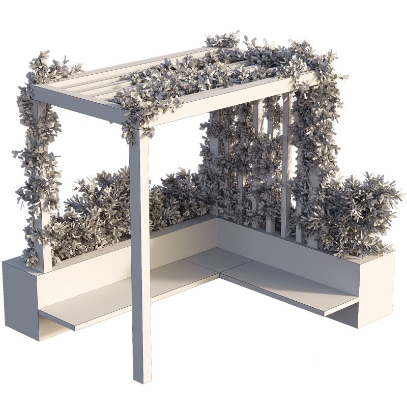 OutDoor plants – 3 Pergola plants set Image 2