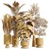 AV Indoor Plants Set 267 Areca Palm and Lemon and Green Sansevieria and Monstera Deliciosa Large Leaf and Olive - Thumbnail 9