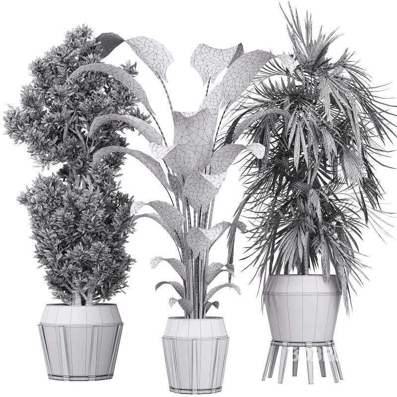 Indoor collection plants set 03 Image 4