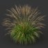 AV Molinia Caerulea Heidebraut Kleines Pfeifengras grasses - Thumbnail 7