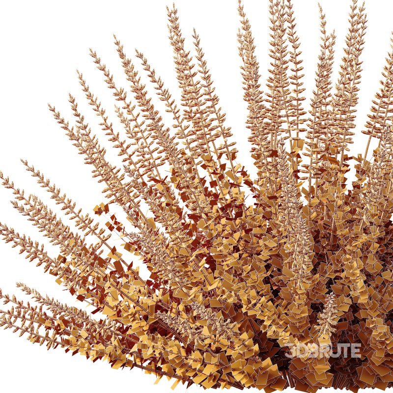 AV Plant Calluna Vulgaris Helena Summer Broom Heather Garden Girls01 Image 4