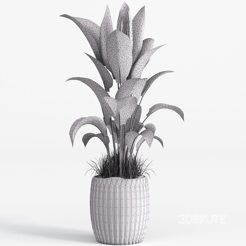 Indoor plant set 04 Image 2