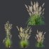ntal grasses—**Celtica gigantea** (Golden Oats Grass) and **Nassella tenuissima** (Mexican Feather Grass)—curated for naturalistic, windswept landscapes and high-end 3D visualizations. - Thumbnail 12