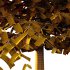 Fagus Grandifolia Tree 06 - Thumbnail 7