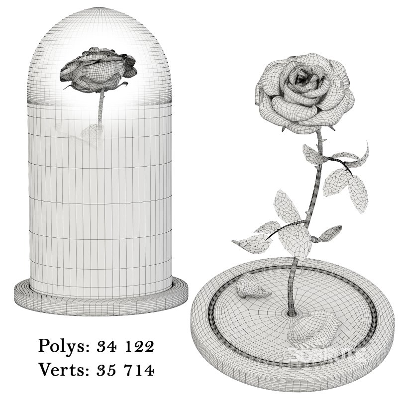 Rose in the movie Beauty and the Beast Image 6