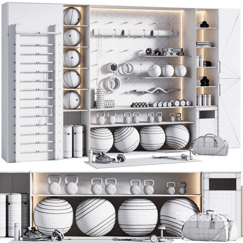 Home Gym Wall Rack with Equipment 04 Image 6