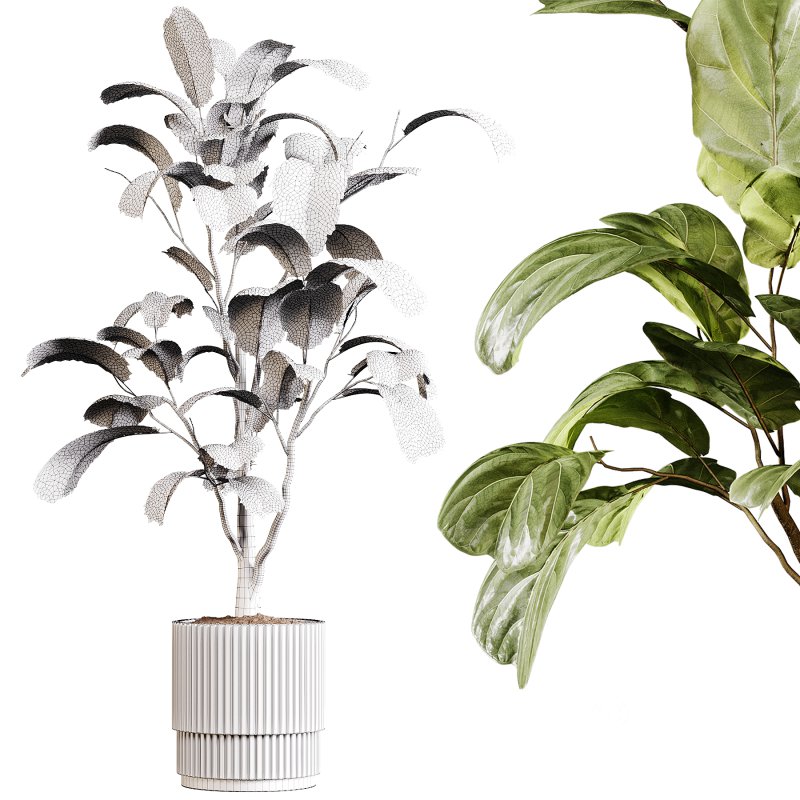 Indoor plants 88 – Plant in pot Image 2