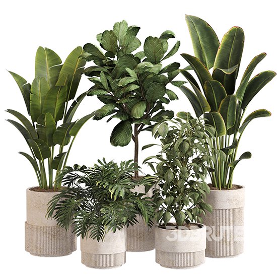 Indoor Plant Set 0159 Image 1