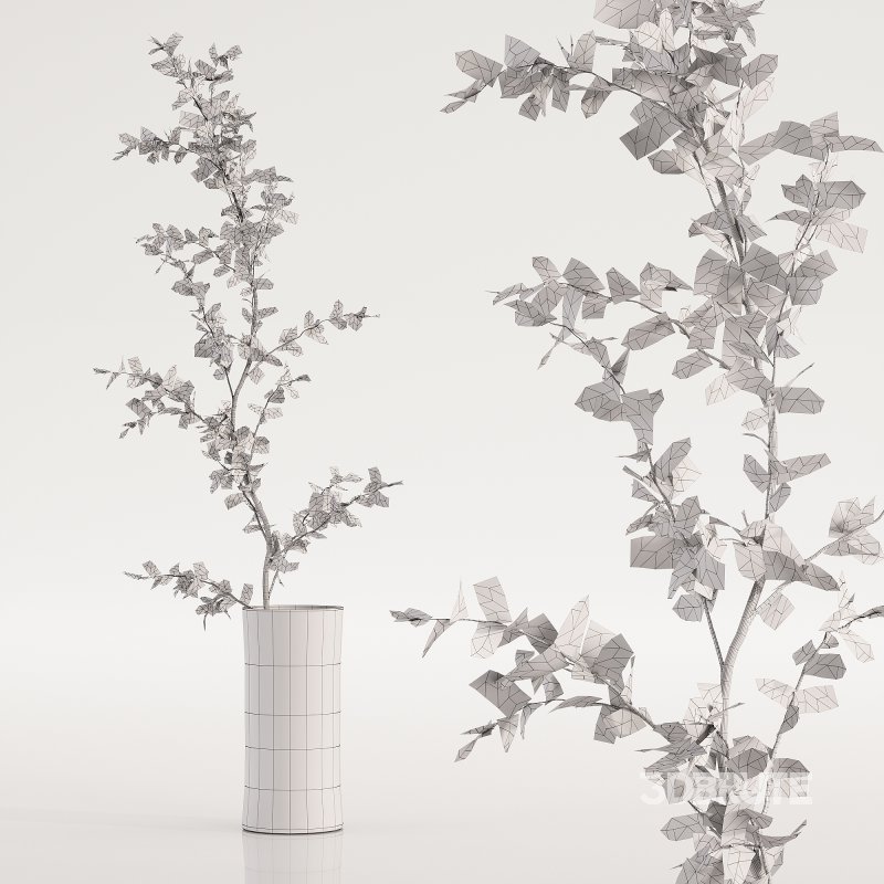 Plants bouquet set 17 Image 1