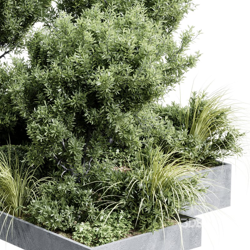 Outdoor plants 12 Image 7