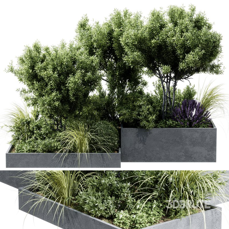 Outdoor plants 12 Image 6