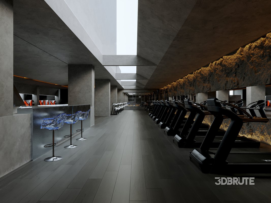 Modern Gym Image 6
