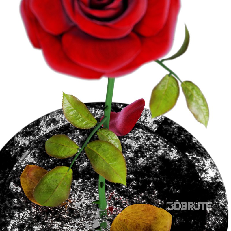 Rose in the movie Beauty and the Beast Image 2