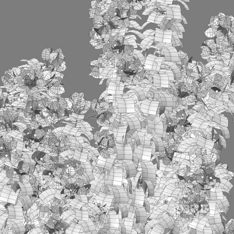 Bougainvillea – Paper Flower 01 Image 7