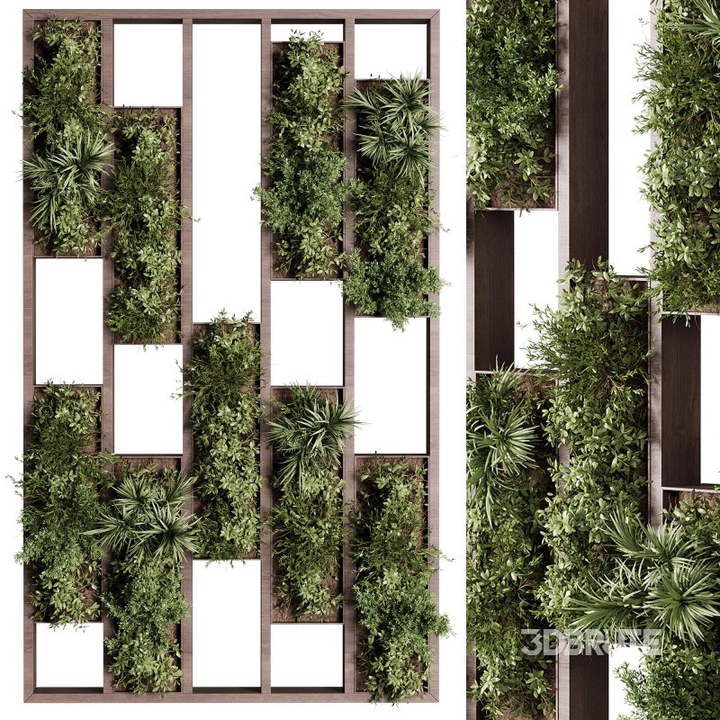 Vertical Garden Partiton plants 03 Image 1