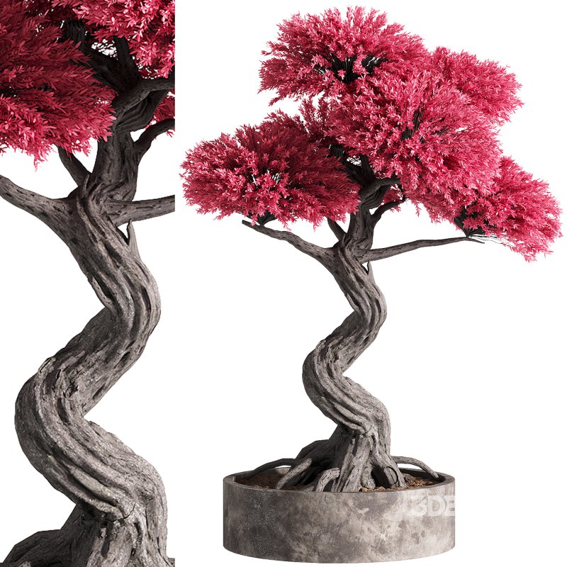 indoor plants – 50 plant in pot Image 1