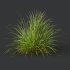 ntal grasses—**Nassella tenuissima**, also known as Mexican Feather Grass, and **Carex elata ‘Aurea’**, a golden sedge celebrated for its radiant chartreuse foliage. - Thumbnail 7